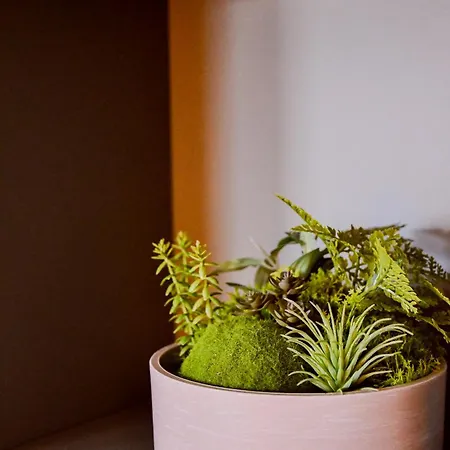 Kochwerk Restaurant & Pensionat 4*