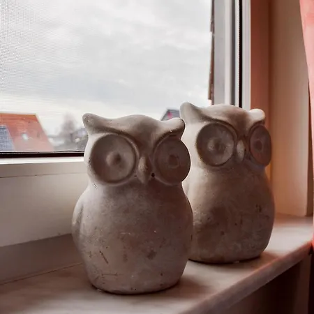 Kochwerk Restaurant & Zingst