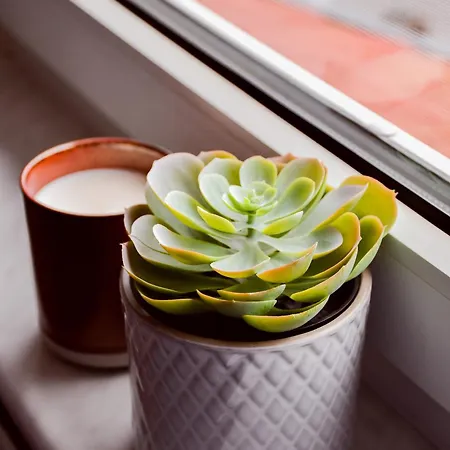 Kochwerk Restaurant & Pensionat 4*